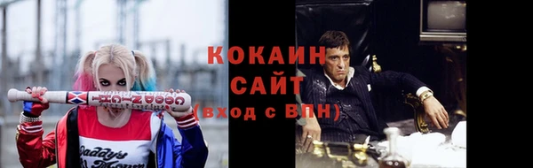 шишки Нефтегорск