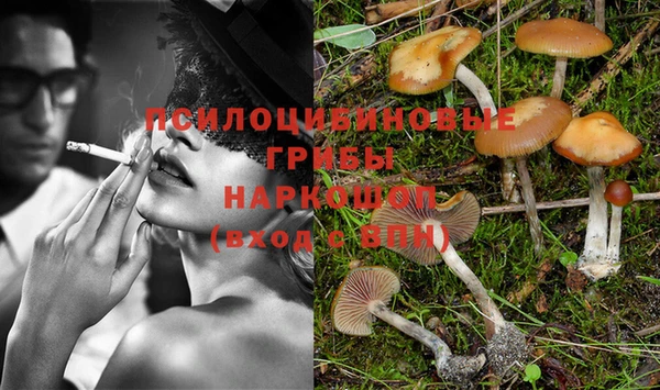 шишки Нефтегорск