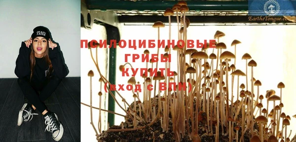 стаф Нефтекумск