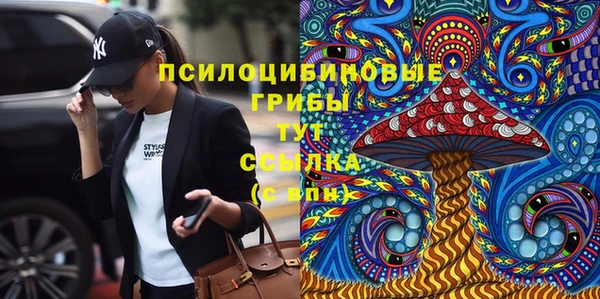 спиды Нея