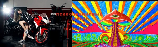 шишки Нефтегорск