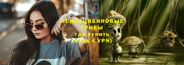 шишки Нефтегорск