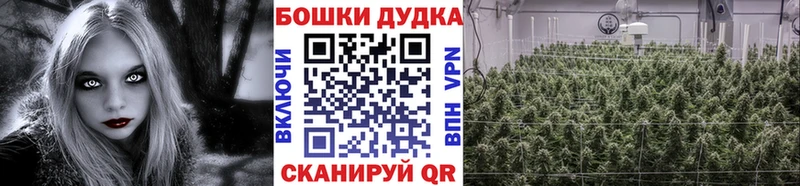 Купить где  Хилок  МАРИХУАНА марихуана 